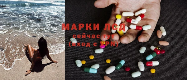 индика Балабаново