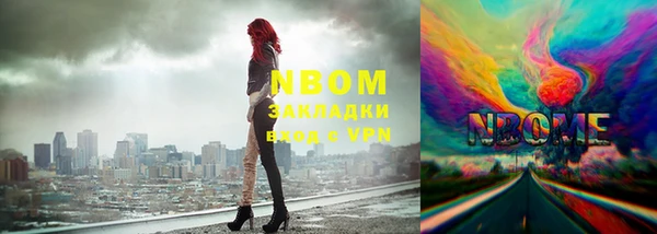 индика Белокуриха