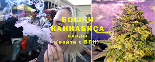 индика Белокуриха
