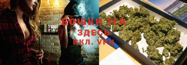 индика Белокуриха