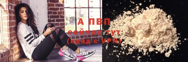 индика Белокуриха