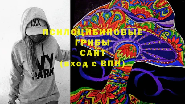 2c-b Беломорск